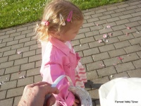 img00002.jpg