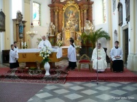 img00030.jpg