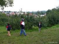 img00010.jpg